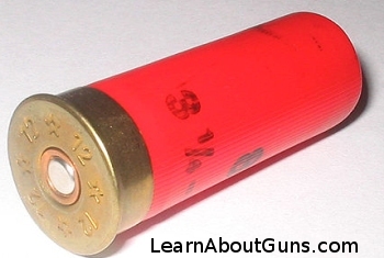 A Shotgun Shell